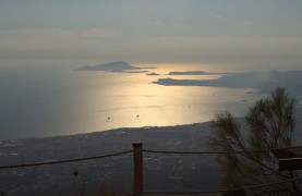 Wine Tasting on the Slopes of Vesuvius