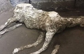 Pompeii: Explore the Ruins from Naples