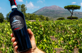 Pompeii Tour & Wine Tasting from Naples